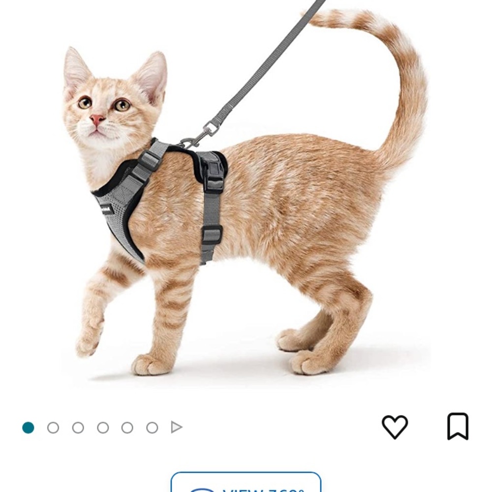 Rabitgoo cat harness size small